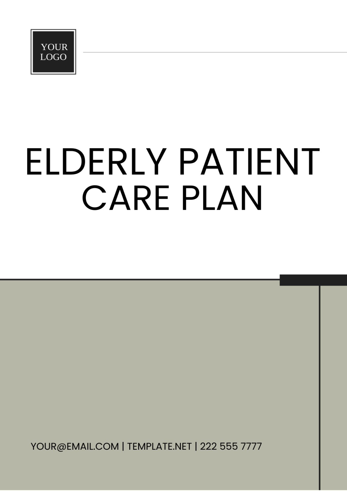 Elderly Patient Care Plan Template