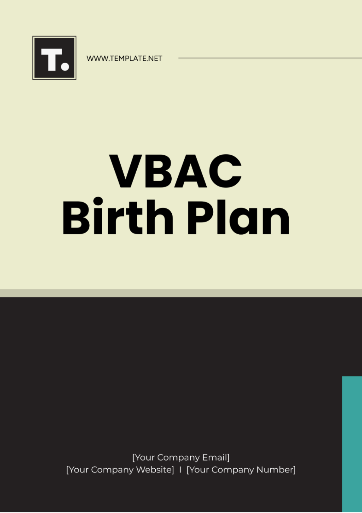 Free VBAC Birth Plan Template - Edit Online & Download | Template.net