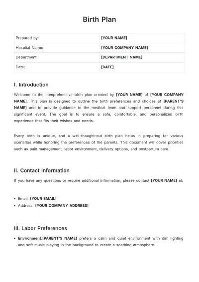 Free Birth Plan Template to Edit Online