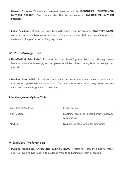 Free Birth Plan Template to Edit Online