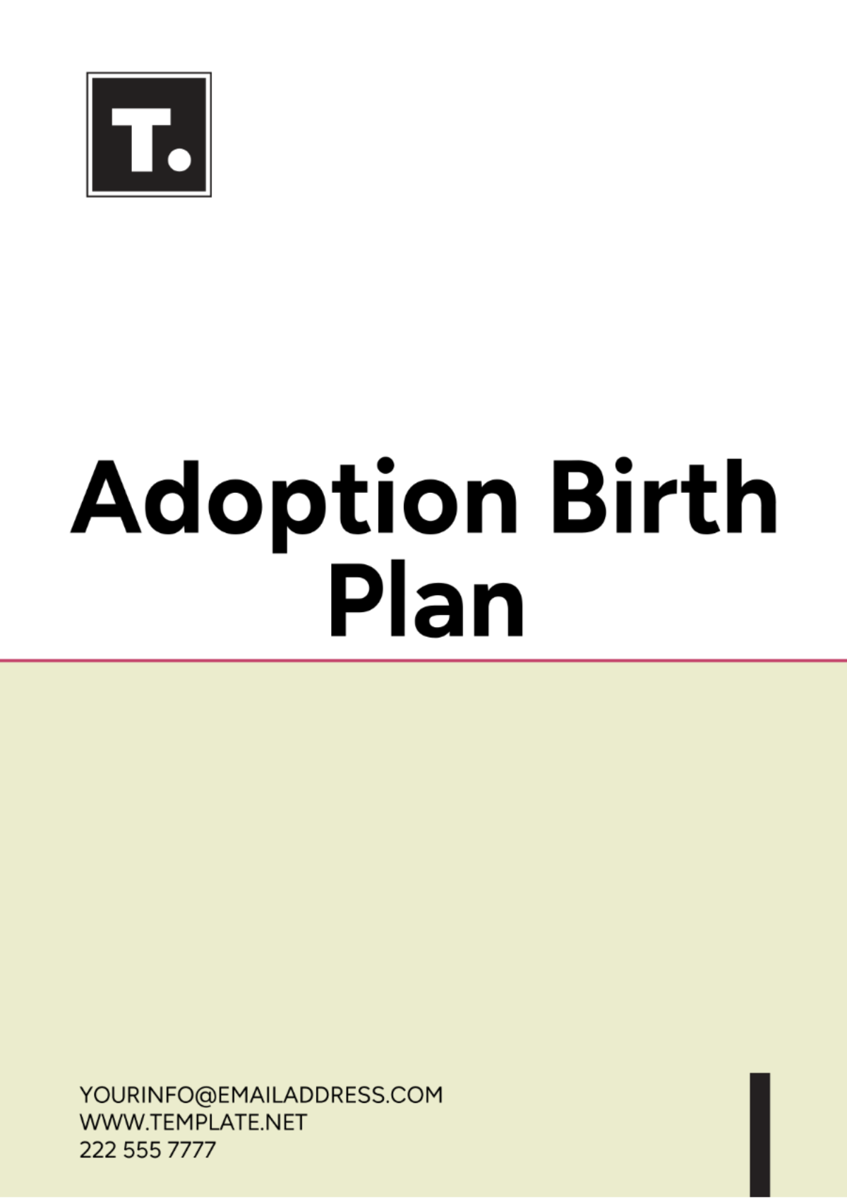 Adoption Birth Plan Template