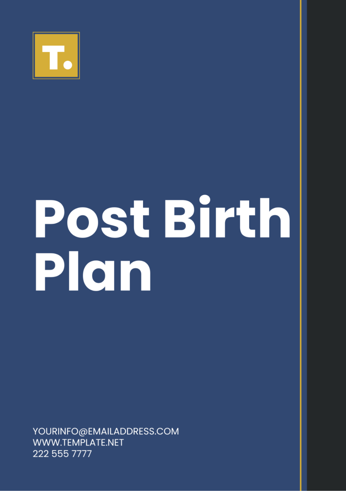 Post Birth Plan Template