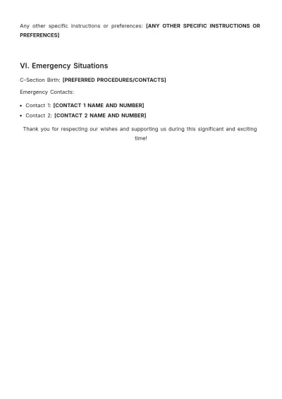 Free Post Birth Plan Template to Edit Online