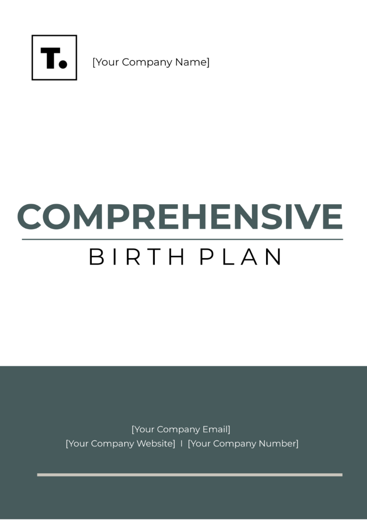 Free Comprehensive Birth Plan Template