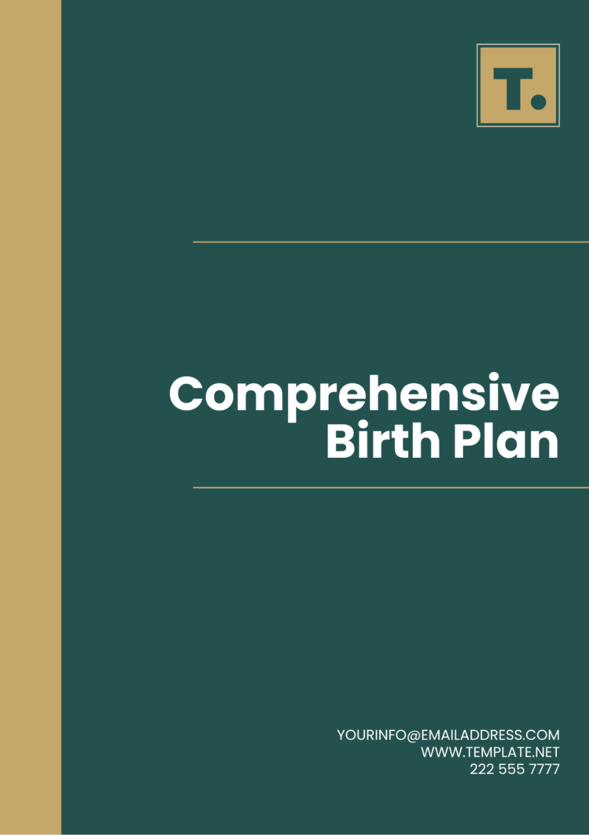 Comprehensive Birth Plan Template