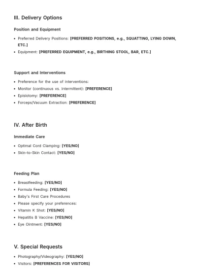 Free Comprehensive Birth Plan Template to Edit Online