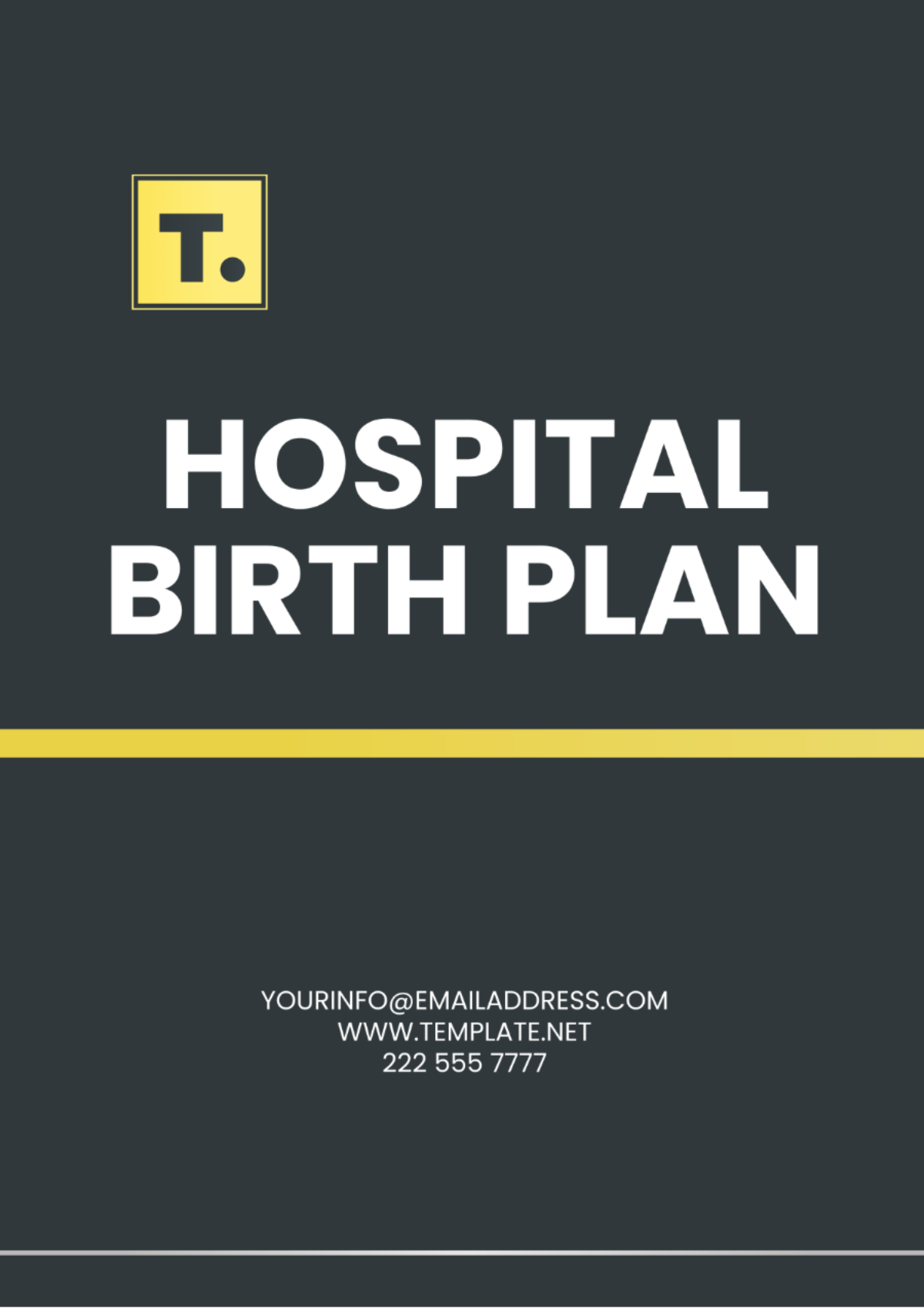Hospital Birth Plan Template