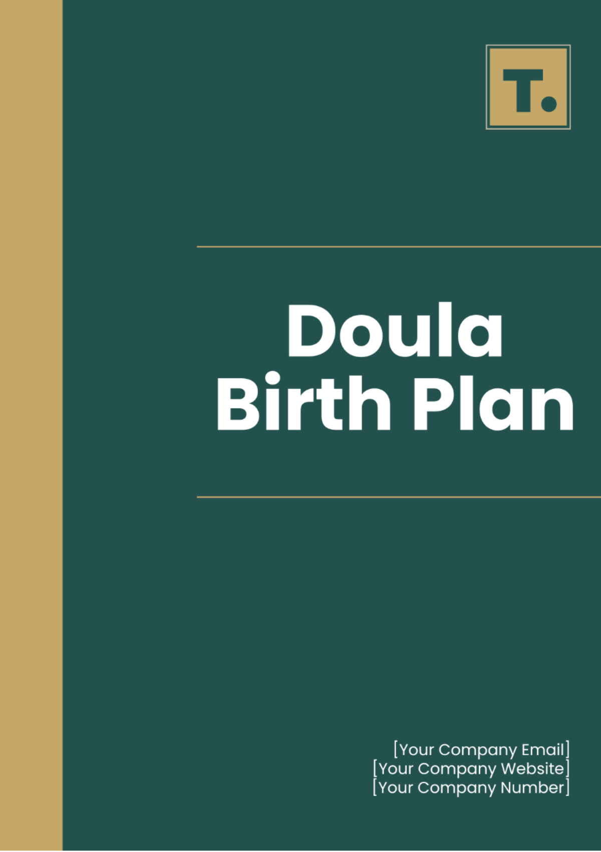 Free Doula Birth Plan Template