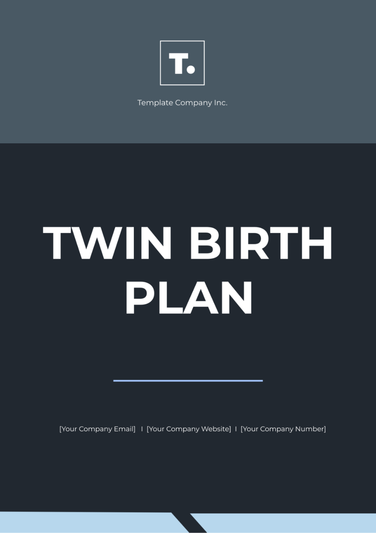 Free Twin Birth Plan Template