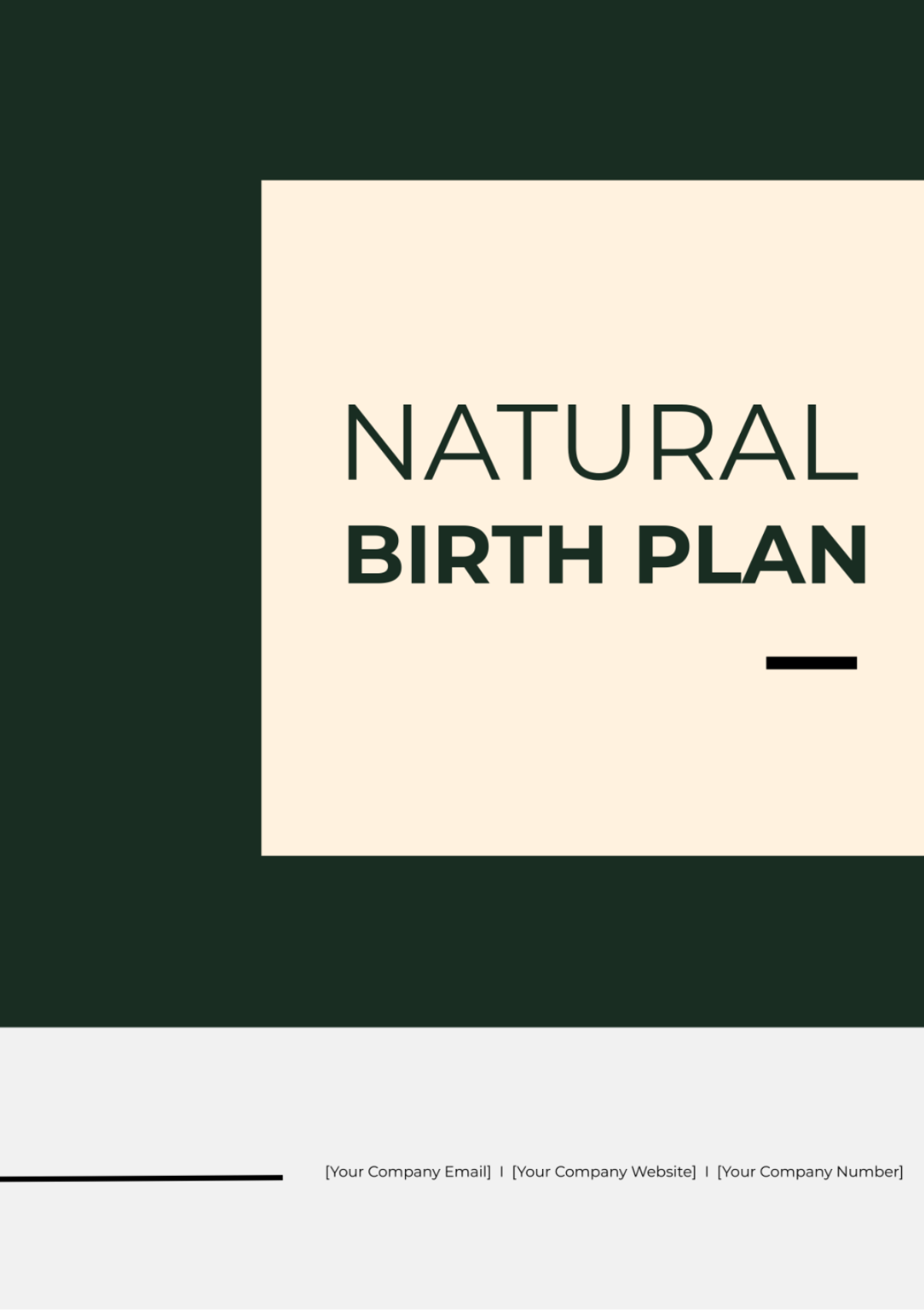 Free Natural Birth Plan Template