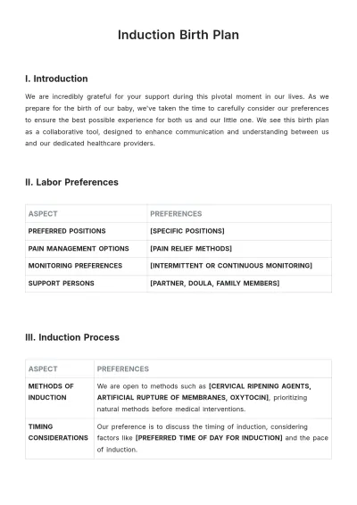 Free Induction Birth Plan Template to Edit Online