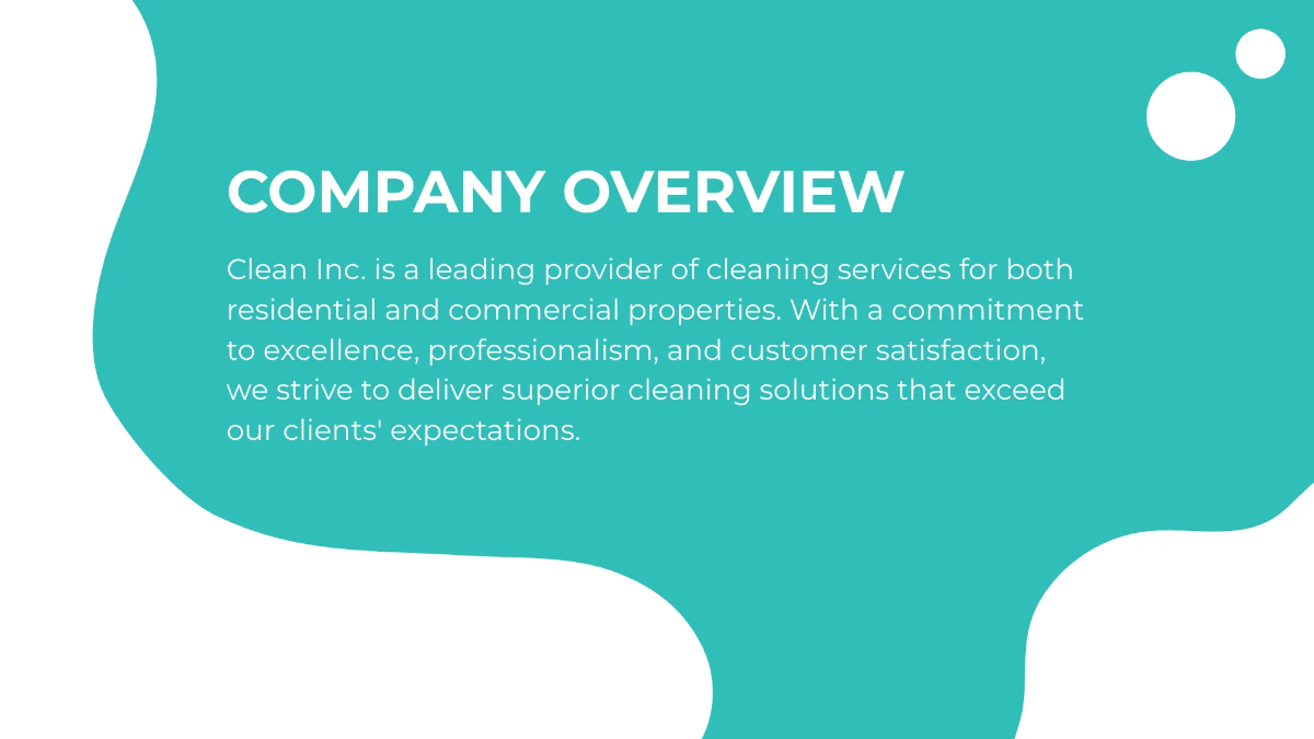 Free Pricing and Service Packages Overview Presentation Template to Edit Online