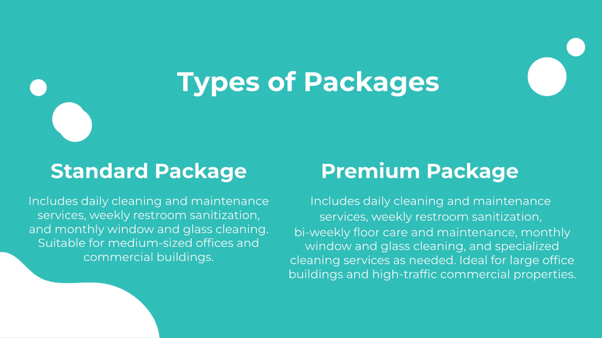 Free Pricing and Service Packages Overview Presentation Template to Edit Online