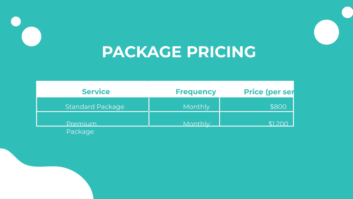 Free Pricing and Service Packages Overview Presentation Template to Edit Online