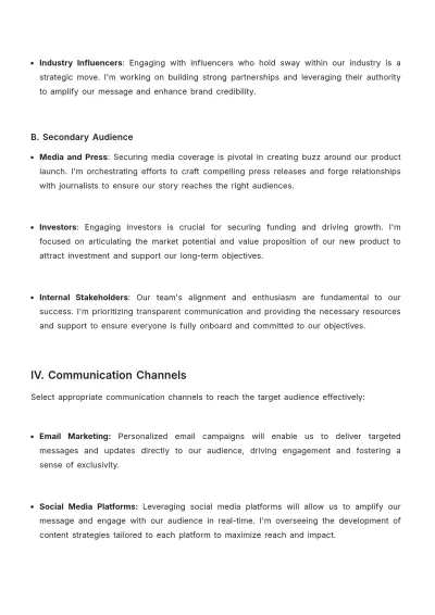 Free Product Launch Communication Plan Template to Edit Online