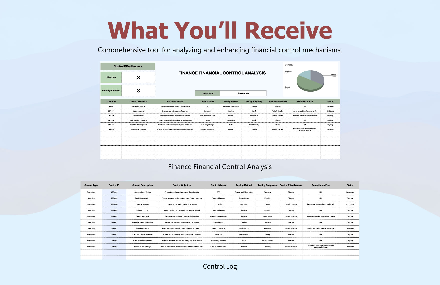 Finance Financial Control Analysis Template