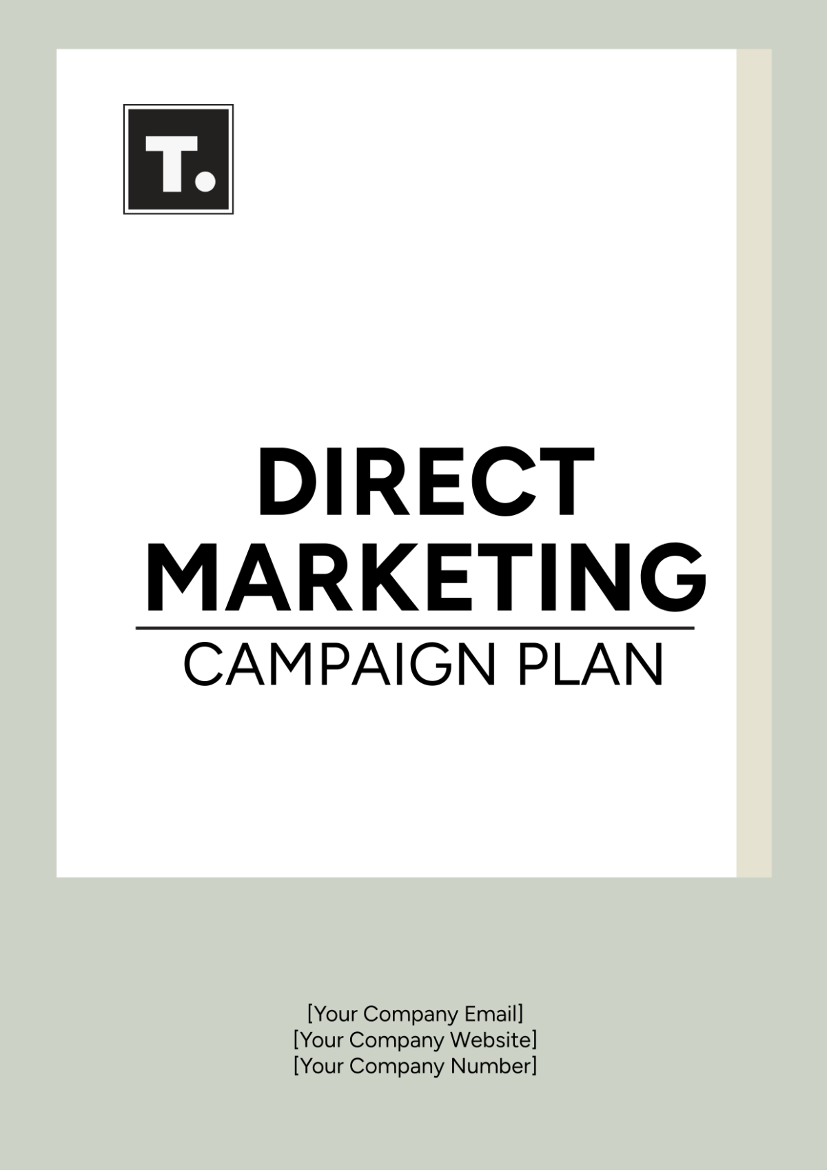 Direct Marketing Campaign Plan Template - Edit Online & Download