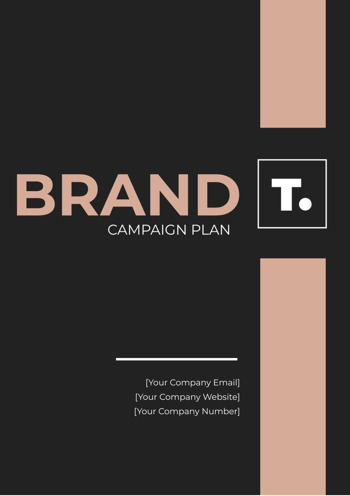 Brand Campaign Plan Template - Edit Online & Download