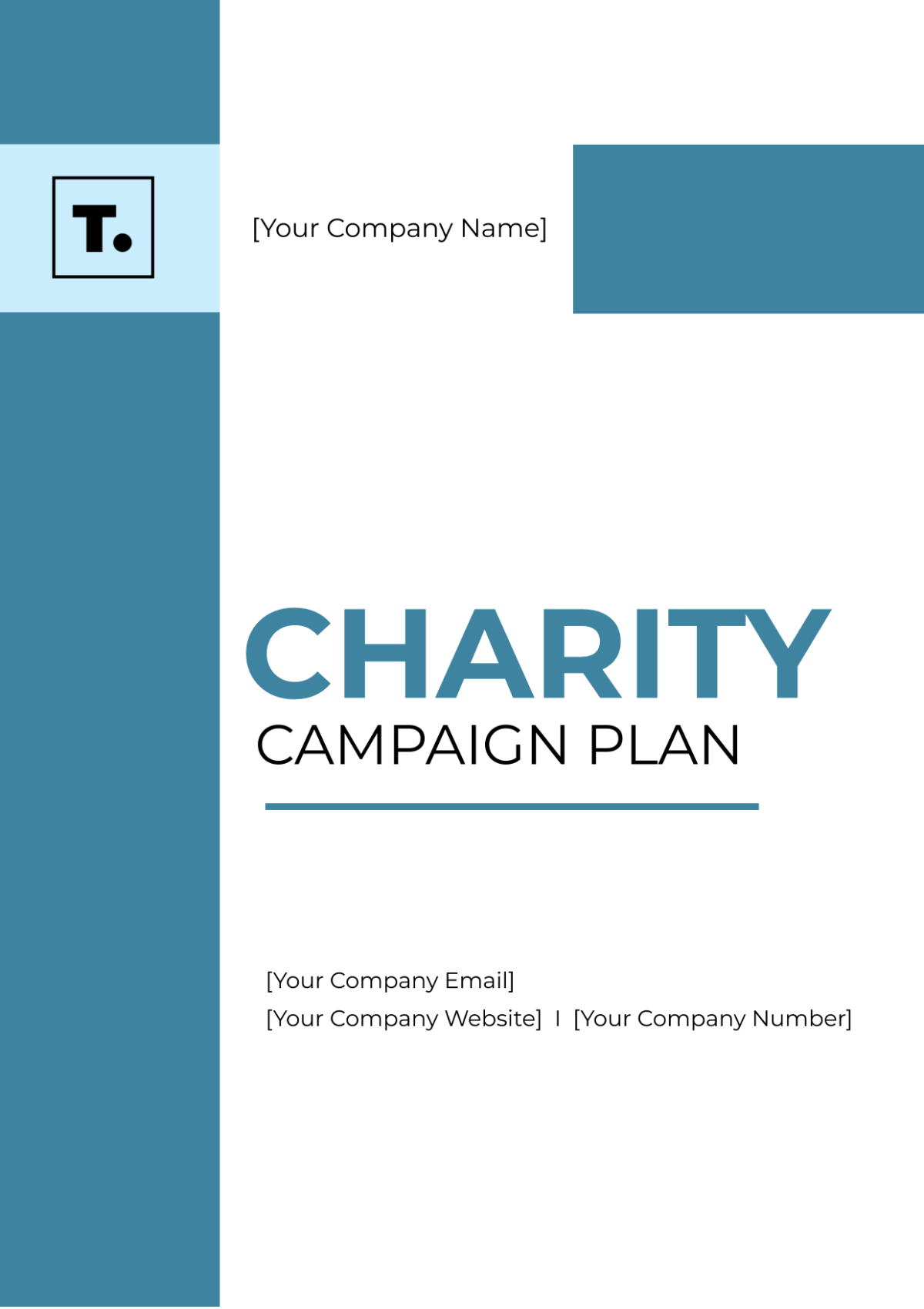 Charity Campaign Plan Template - Edit Online & Download