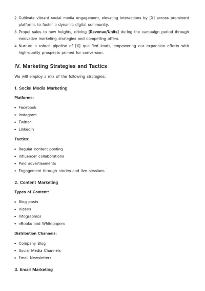 Free Marketing Campaign Plan Template to Edit Online