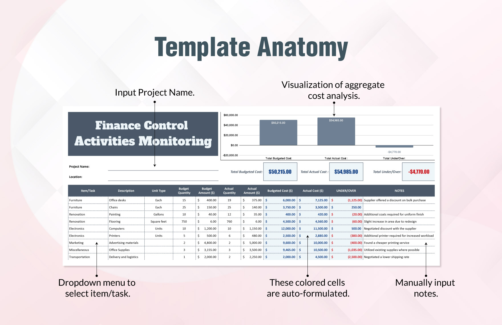 Finance Control Activities Monitoring Template