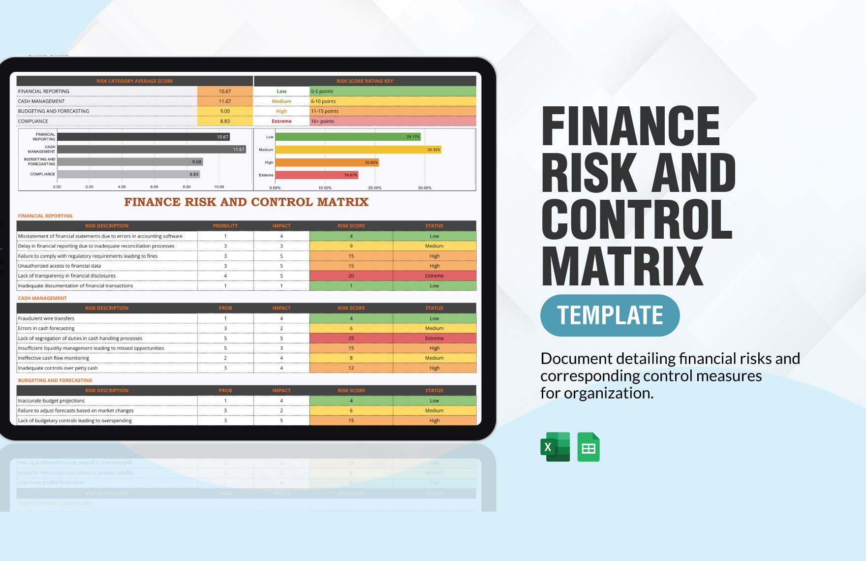 Finance Risk and Control Matrix Template in Excel, Google Sheets