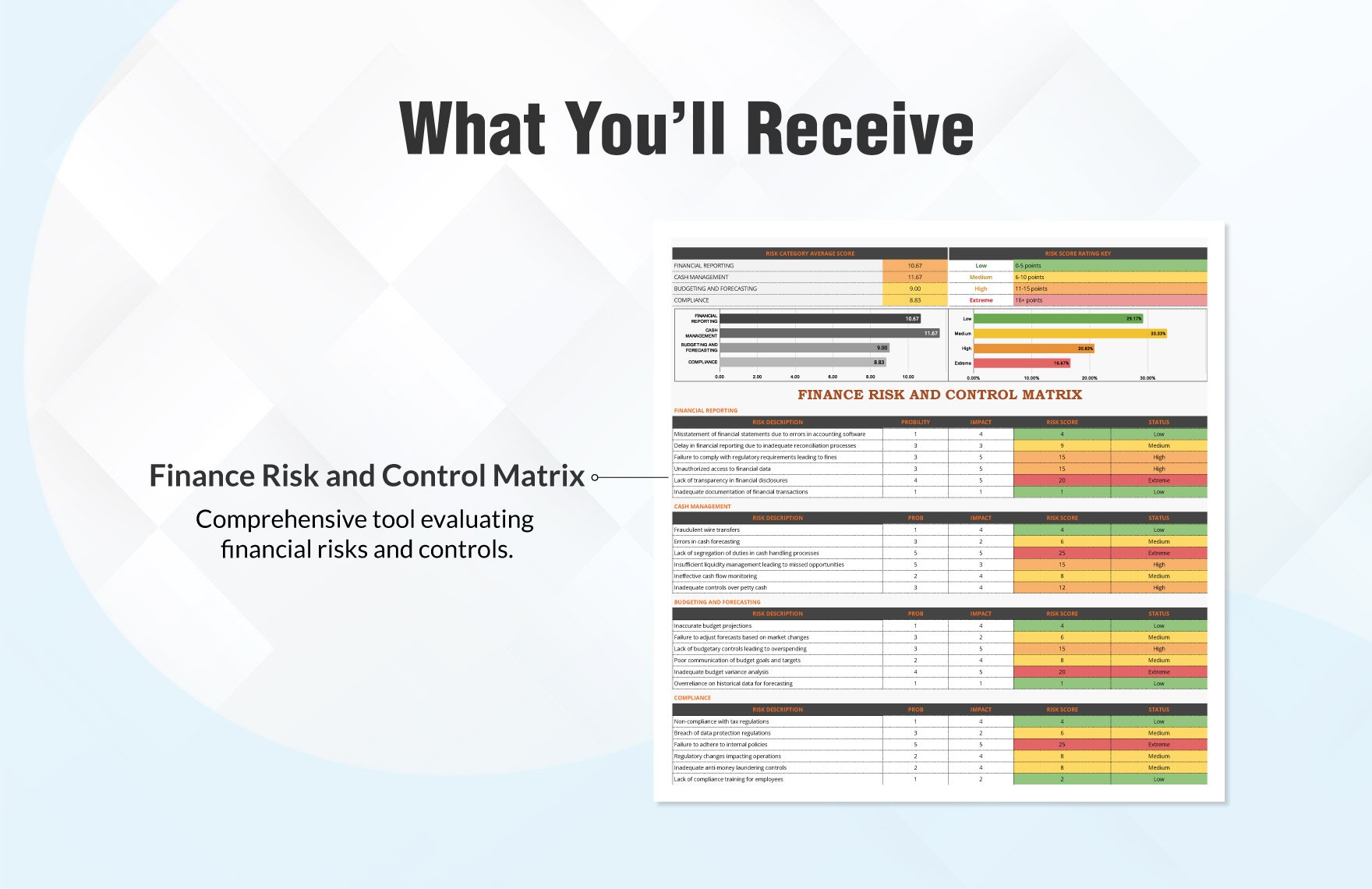 Finance Risk and Control Matrix Template