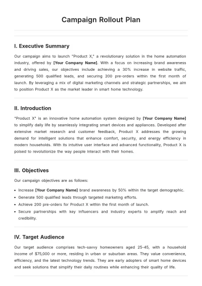 Free Campaign Rollout Plan Template to Edit Online