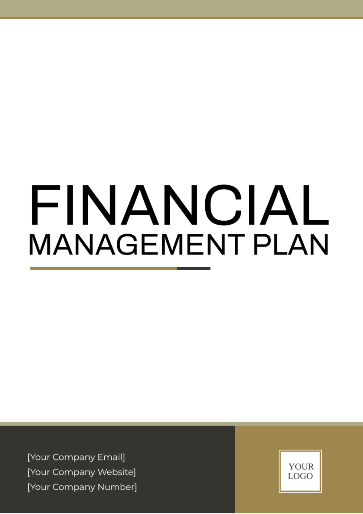 Free Financial Management Plan Template