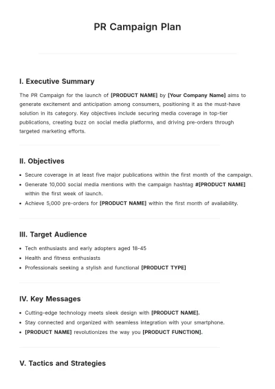 Free PR Campaign Plan Template to Edit Online