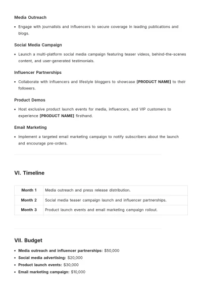 Free PR Campaign Plan Template to Edit Online