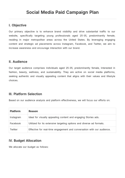 Free Social Media Paid Campaign Plan Template to Edit Online