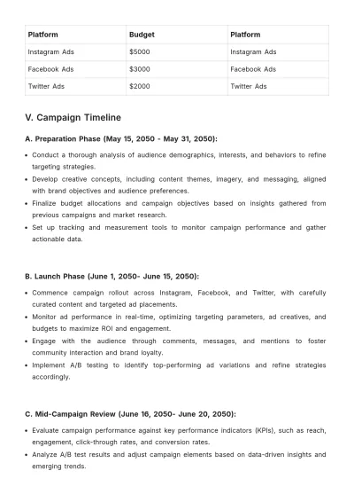 Free Social Media Paid Campaign Plan Template to Edit Online