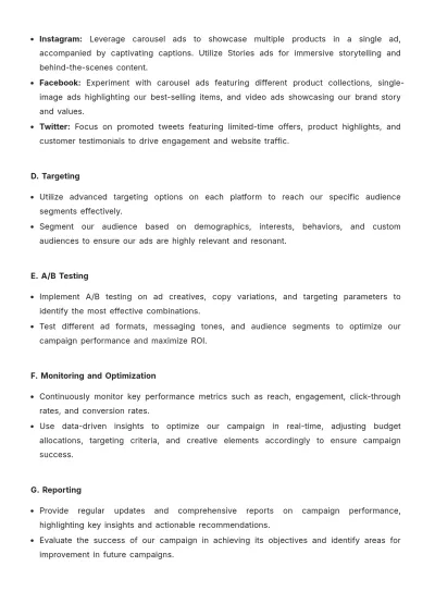 Free Social Media Paid Campaign Plan Template to Edit Online