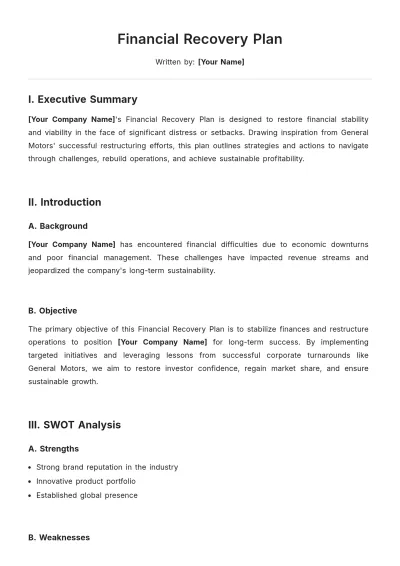 Free Financial Recovery Plan Template to Edit Online