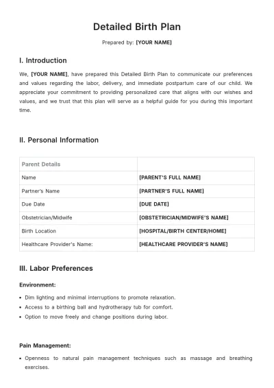 Free Detailed Birth Plan Template to Edit Online