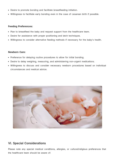 Free Detailed Birth Plan Template to Edit Online