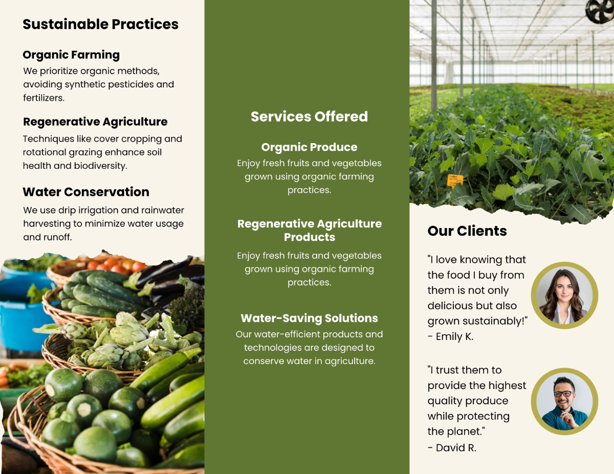 Free Sustainable Agriculture Brochure Template to Edit Online