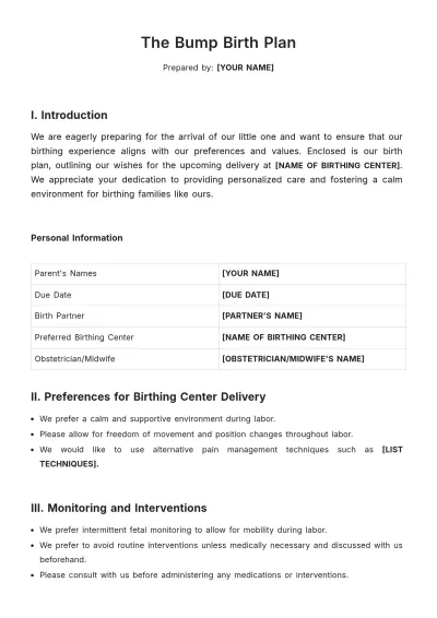 Free The Bump Birth Plan Template to Edit Online