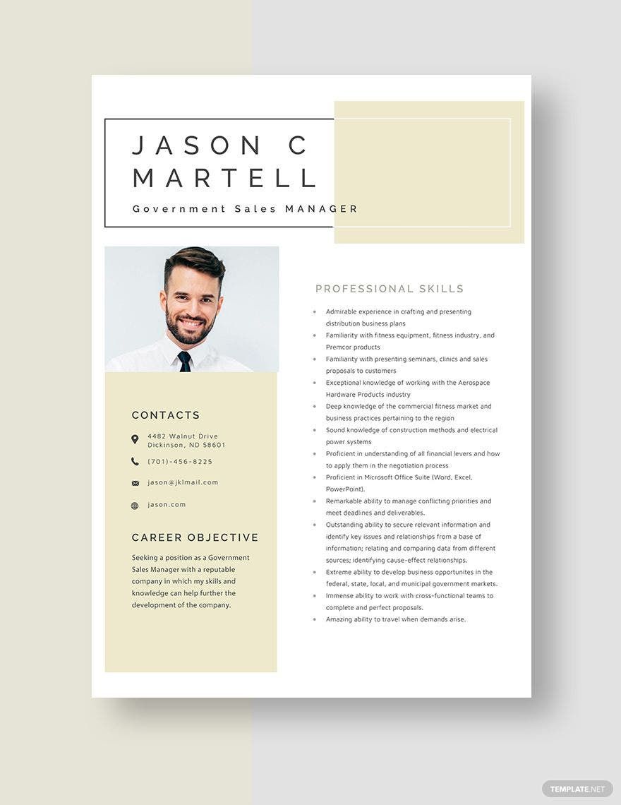 Government Sales Manager Resume