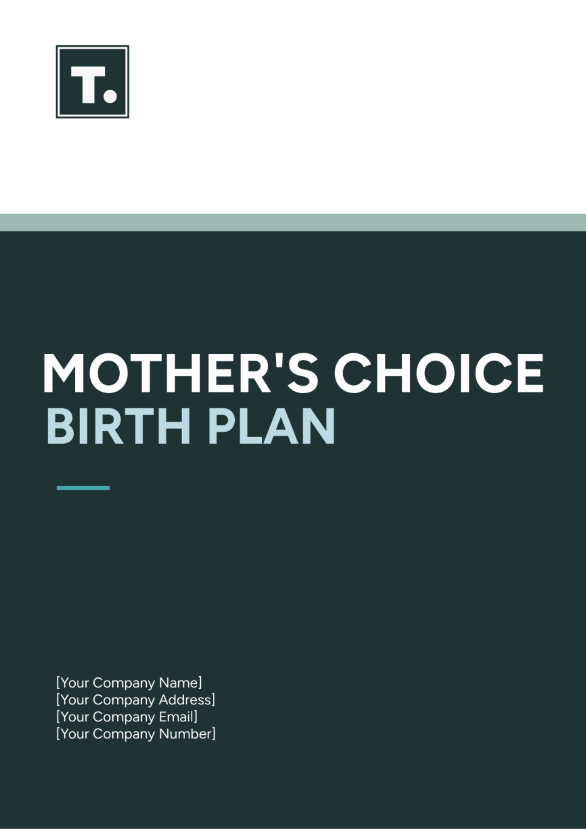 Free Mother's Choice Birth Plan Template