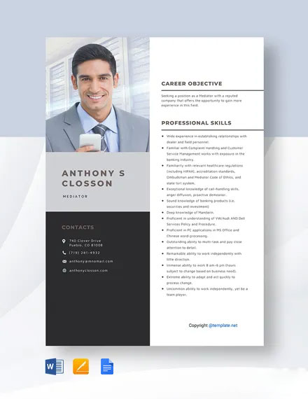 Mediator Resume Template - Google Docs, Word, Apple Pages