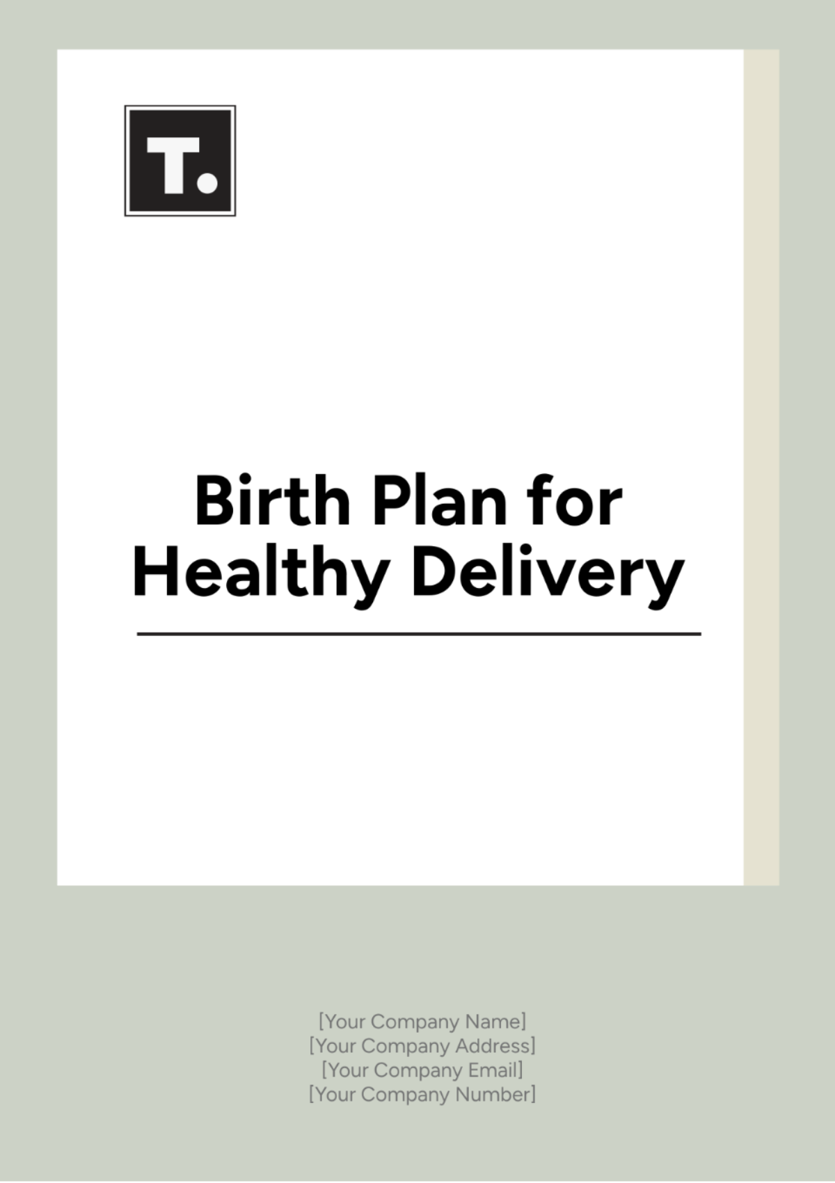 Free Birth Plan For Healthy Delivery Template