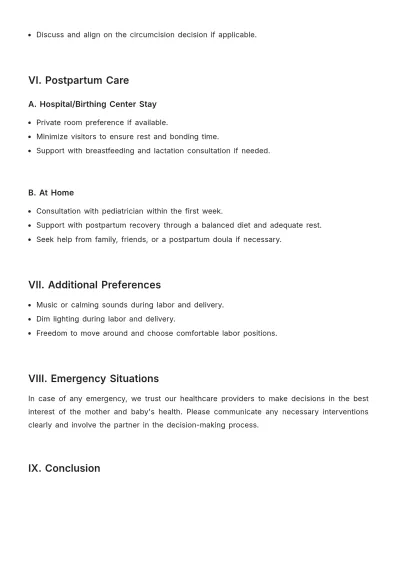 Free Birth Plan For Healthy Delivery Template to Edit Online