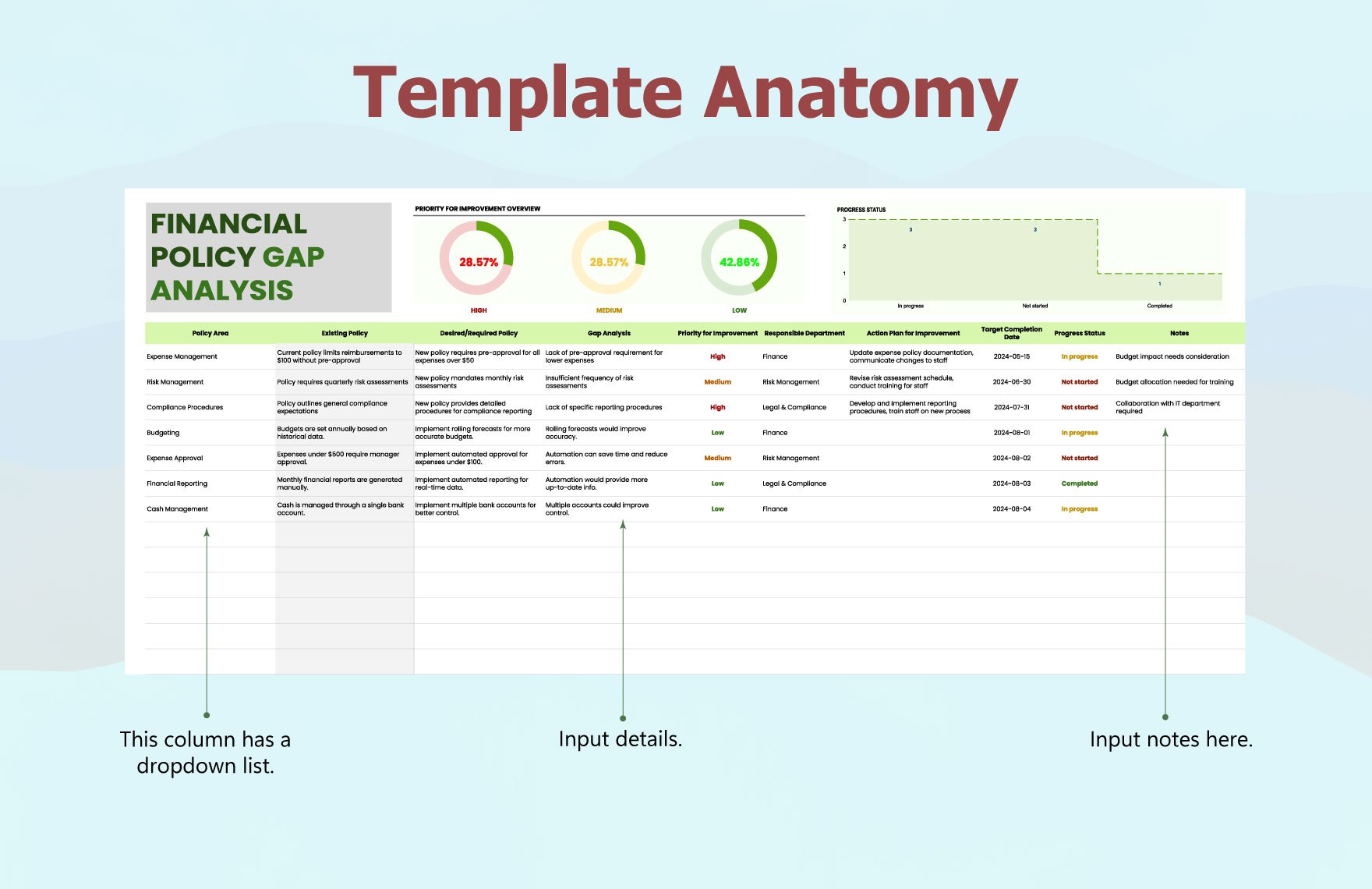 Financial Policy Gap Analysis Template