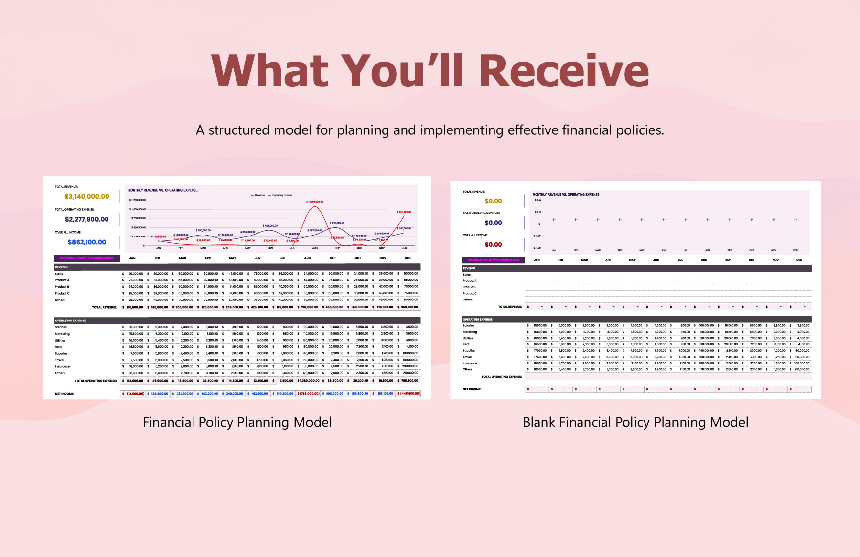 Financial Policy Planning Model Template