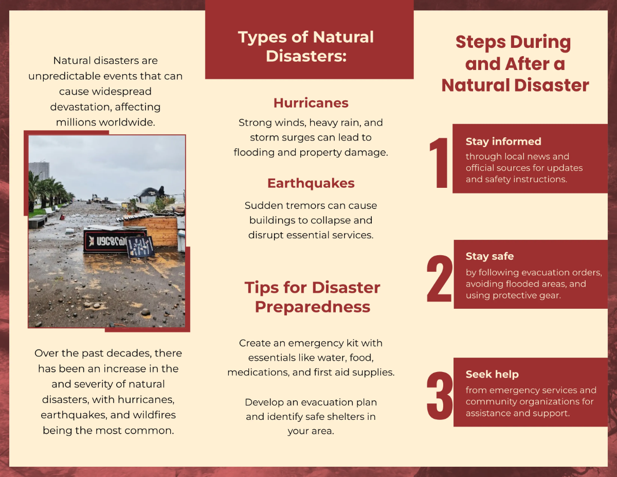 Free Natural Disaster Brochure Template to Edit Online