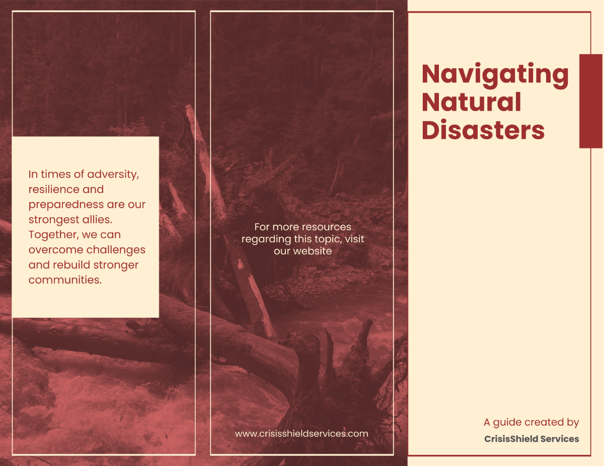 Natural Disaster Brochure Template - Edit Online & Download