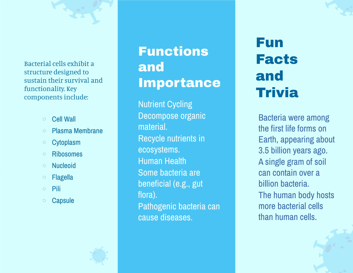 Free Bacteria Cell Brochure Template to Edit Online