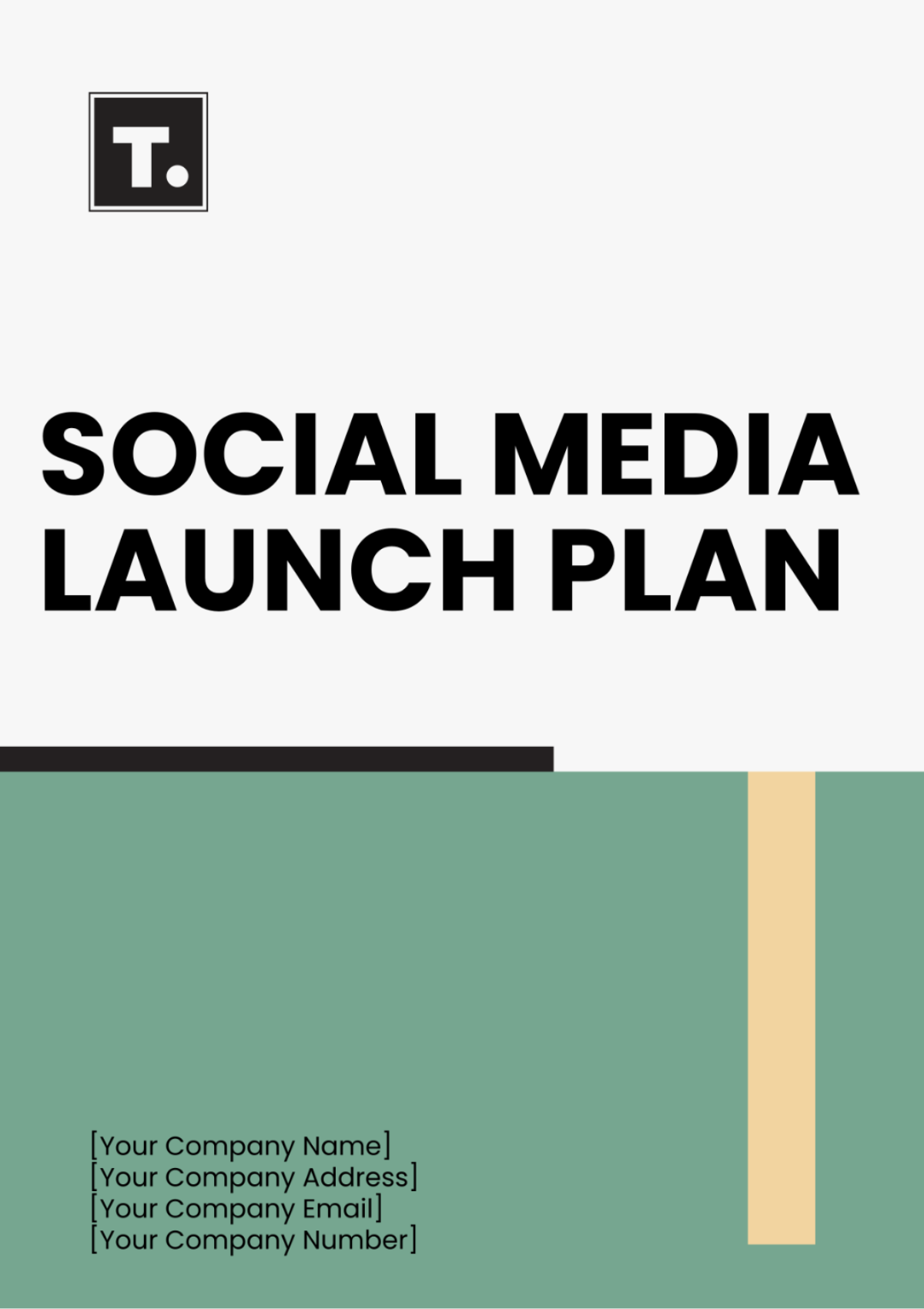 Social Media Launch Plan Template - Edit Online & Download